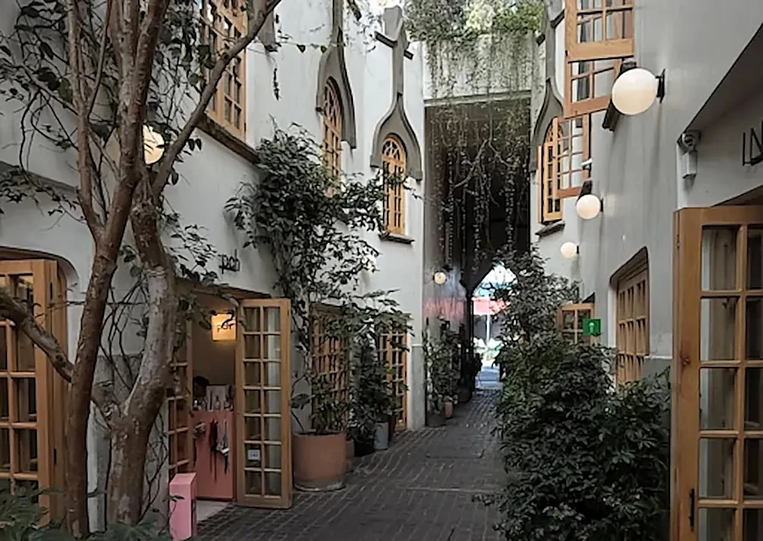 Things to Do in Roma Norte, Mexico City: A 2026 Local Guide