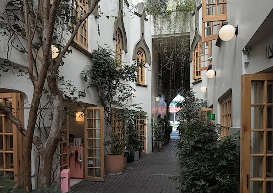 Things to Do in Roma Norte, Mexico City: A 2026 Local Guide